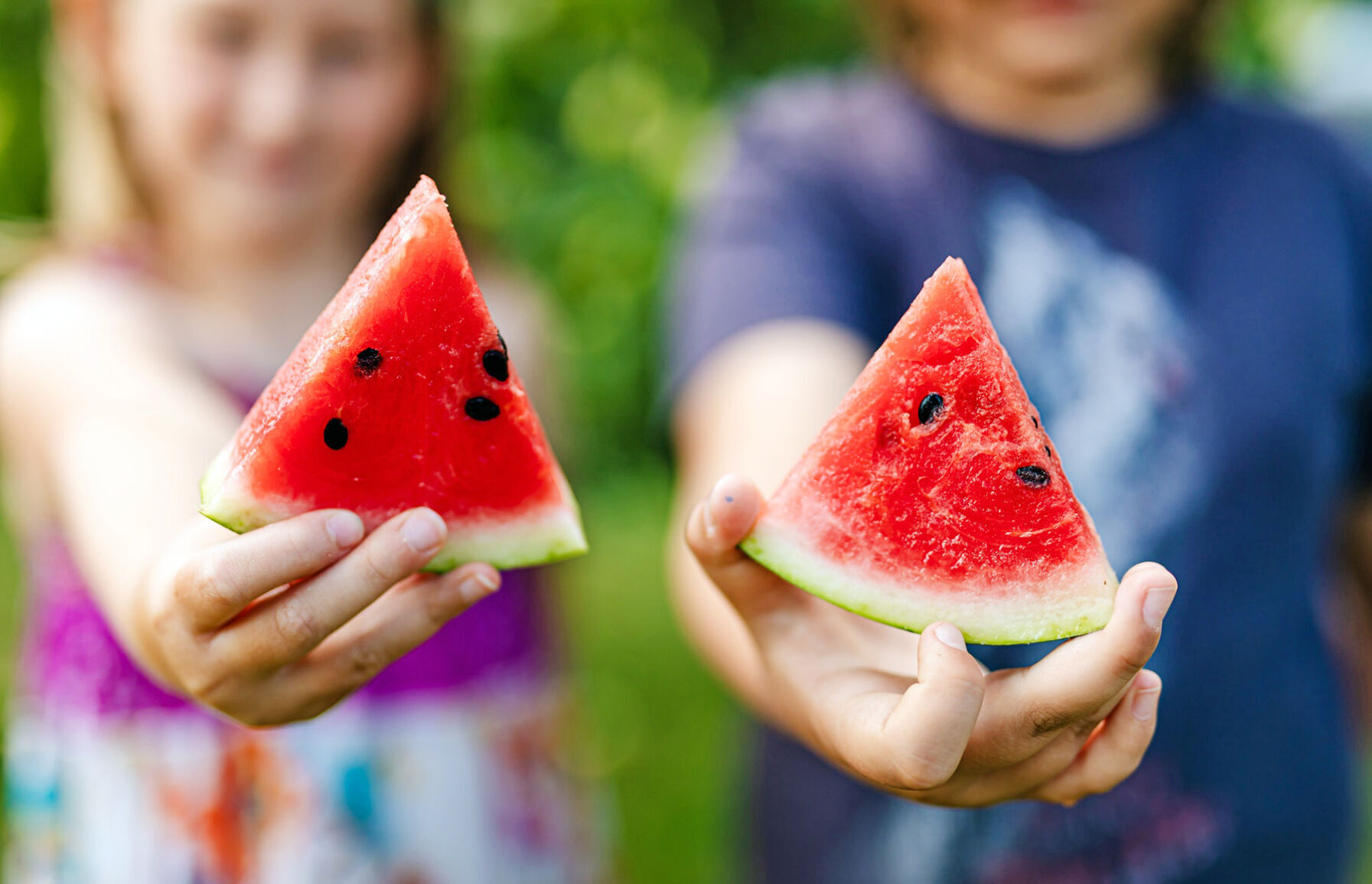 Watermelon wedges